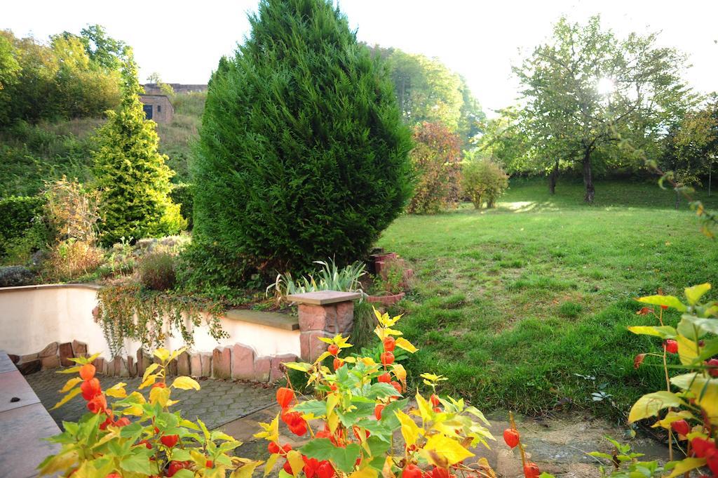 Au Pied Du Chateau Lichtenberg Habitación foto